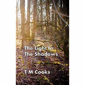 Cover of camp ormiston The Light In The Shadows